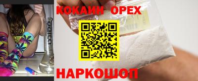 мет Кингисепп
