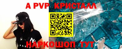 мет Кингисепп