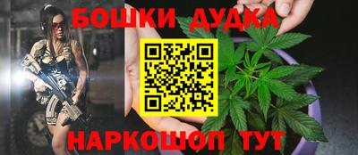 мет Кингисепп