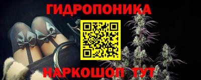 мет Кингисепп