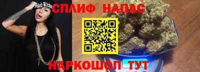 мет Кингисепп