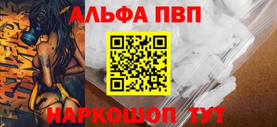 мет Кингисепп