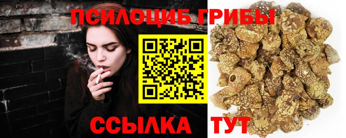 Верхний Уфалей  Псилоцибиновые грибы Psilocybine cubensis  Вход с VPN 